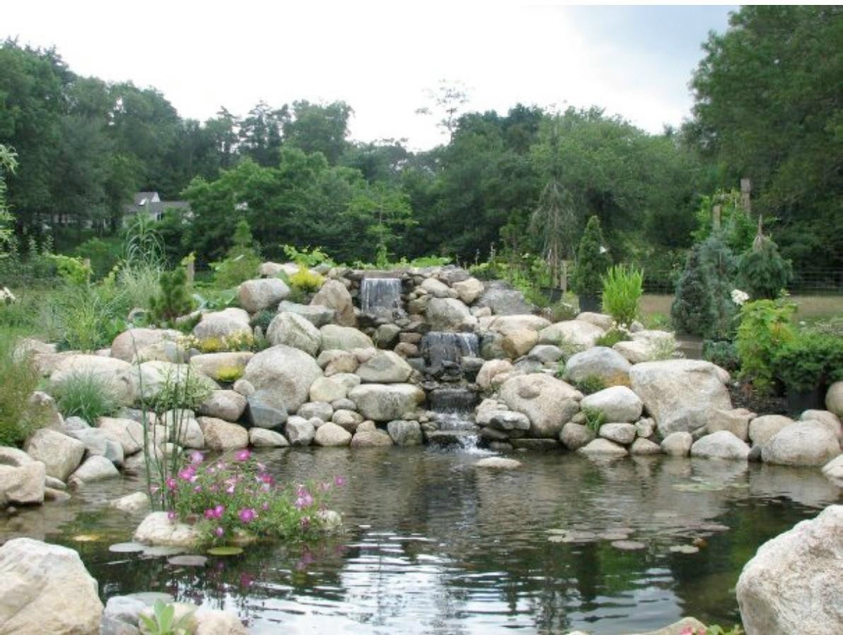 Magical Moon Water Garden